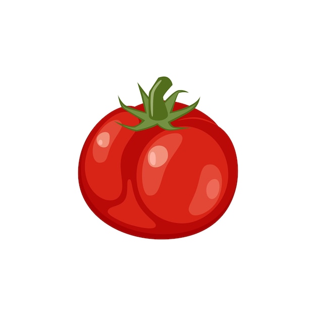 Ilustración vectorial de frutas de tomate frescas aisladas sobre un fondo blanco