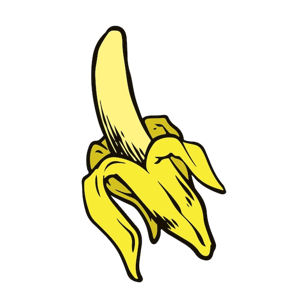Ilustración vectorial de frutas tropicales dibujada a mano por Banana Vintage