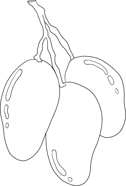 Ilustración vectorial de frutas tropicales de mango dibujada a mano Páginas para colorear botánicas vintage