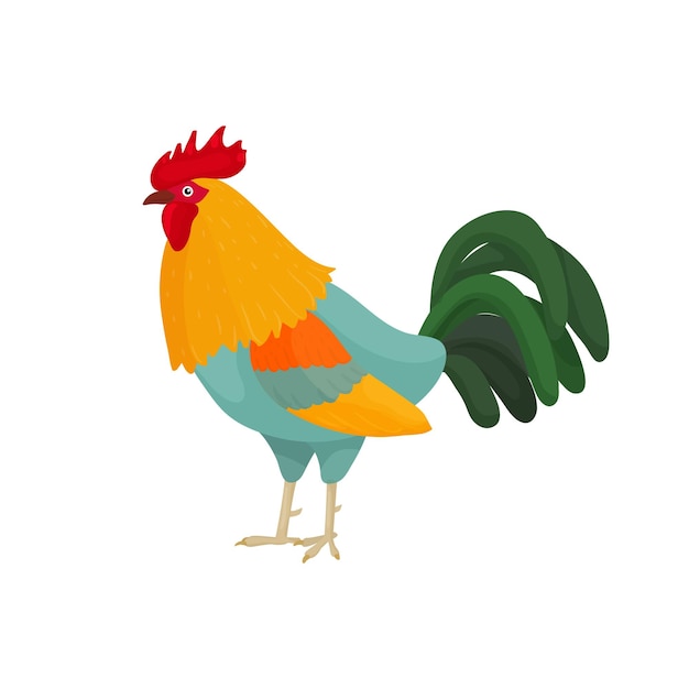 Ilustración vectorial de un gallo en estilo de dibujos animados con plumas azules Gallo brillante como símbolo o mascota para el diseño de ropa de libros infantiles y postales con letras
