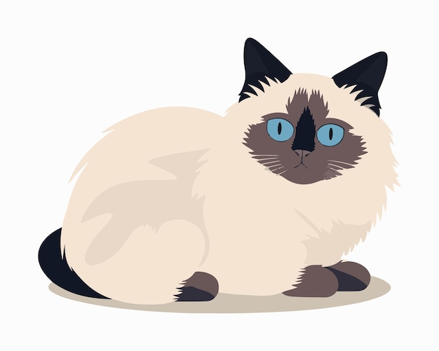 Ilustración vectorial del gato enojado estadounidense