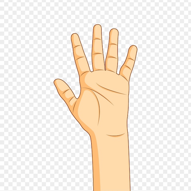 Ilustración vectorial del gesto de levantar la mano sobre un fondo transparente