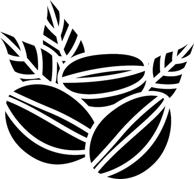 Ilustración vectorial de glifos sólidos de los granos de café