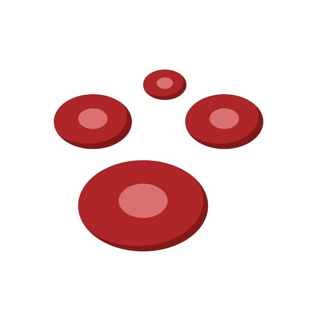 Ilustración vectorial de los glóbulos rojos de fondo blanco Ilustración de los órganos del cuerpo