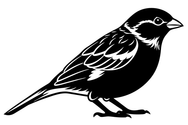una ilustración vectorial de gorrión