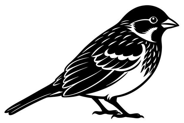 una ilustración vectorial de gorrión