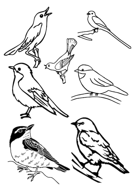 Ilustración vectorial de grabado de pájaros