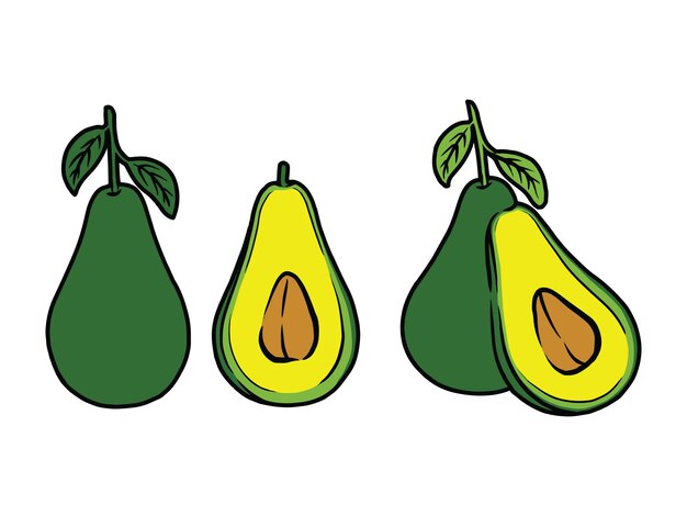 Ilustración vectorial gráfico vectorial de aguacate