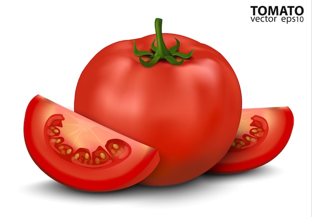 Ilustración vectorial de un gran tomate rojo y fresco maduro y rebanadas aisladas sobre un fondo blanco