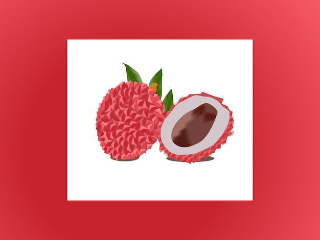 Ilustración vectorial gratuita de litchi fresco