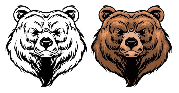 Ilustración vectorial de Grizzly Bear en estilo detallado de dibujo a mano