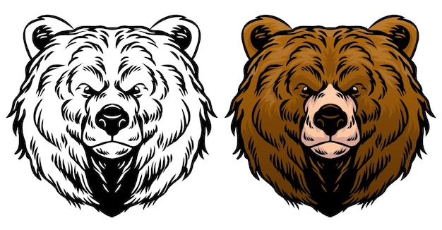 Ilustración vectorial de Grizzly Bear Head en estilo de dibujo a mano vintage