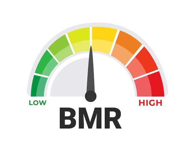 Ilustración vectorial de la herramienta de evaluación BMR de tasa metabólica basal con espectro de tasa de quema calórica