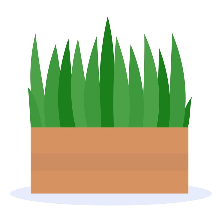 Vector ilustración vectorial de hierba verde en una plantación de madera rectangular ideal para conceptos de diseño de jardín y al aire libre
