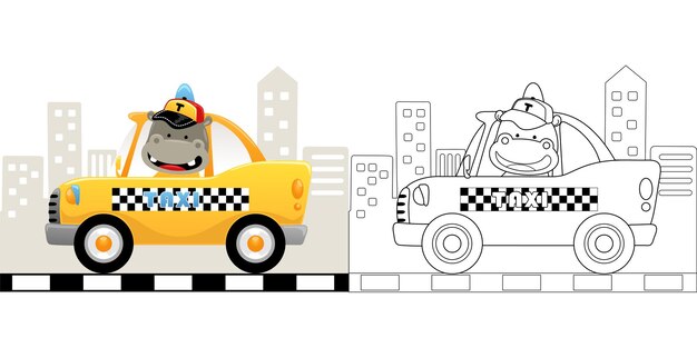 Ilustración vectorial de un hipopótamo divertido de dibujos animados conduciendo un taxi en el fondo de los edificios libro para colorear o página