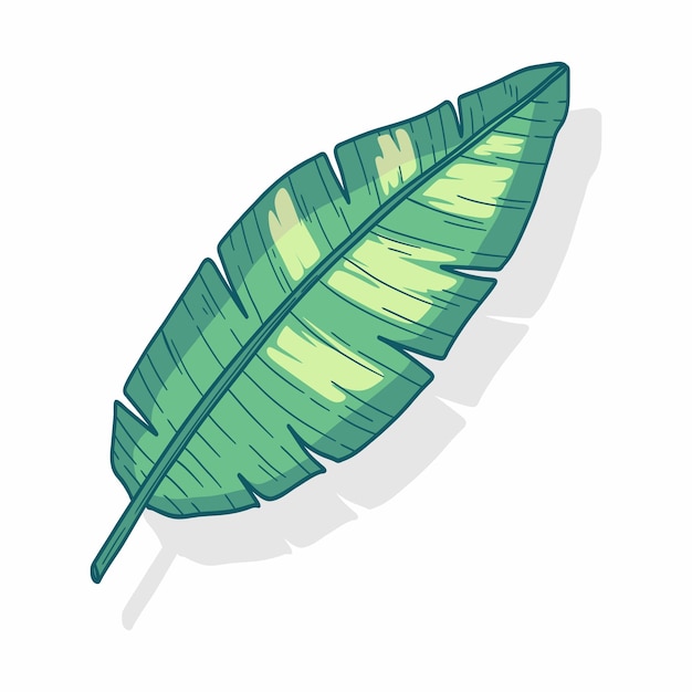 Una ilustración vectorial de una hoja de plátano