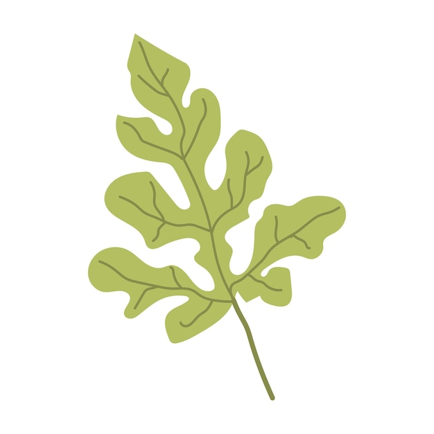 Ilustración vectorial de una hoja de sandía