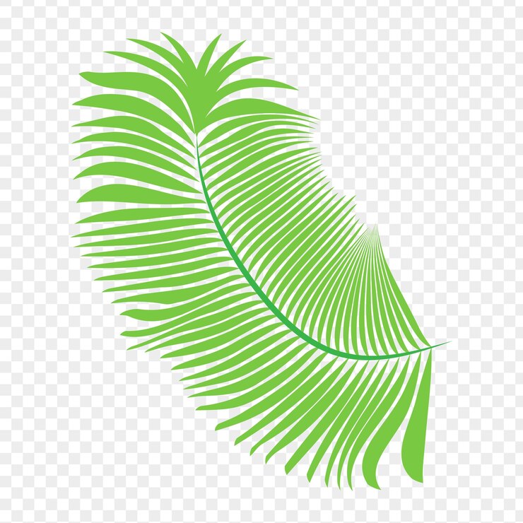 Vector ilustración vectorial de una hoja sobre un fondo transparente