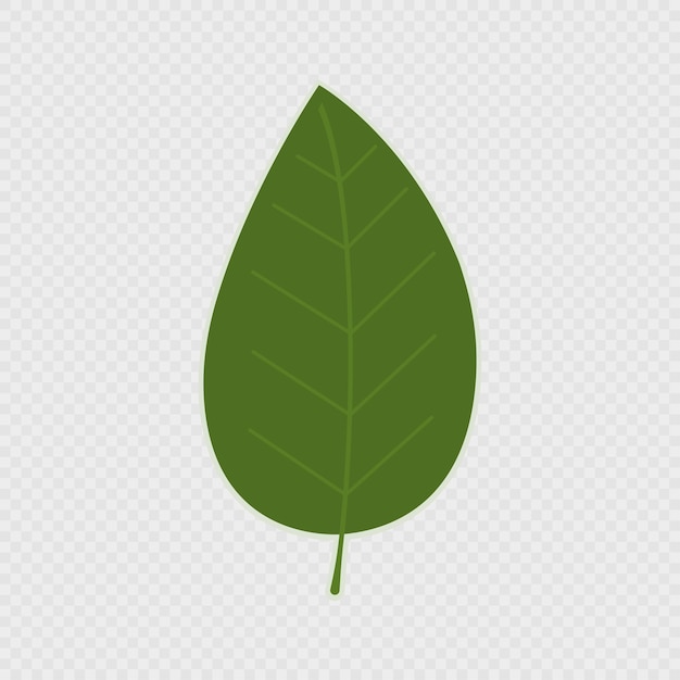 Ilustración vectorial de la hoja verde de dibujos animados