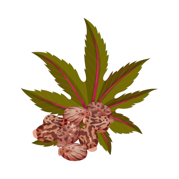 Vector ilustración vectorial de las hojas de palma fibrosa verde de la planta de ricino