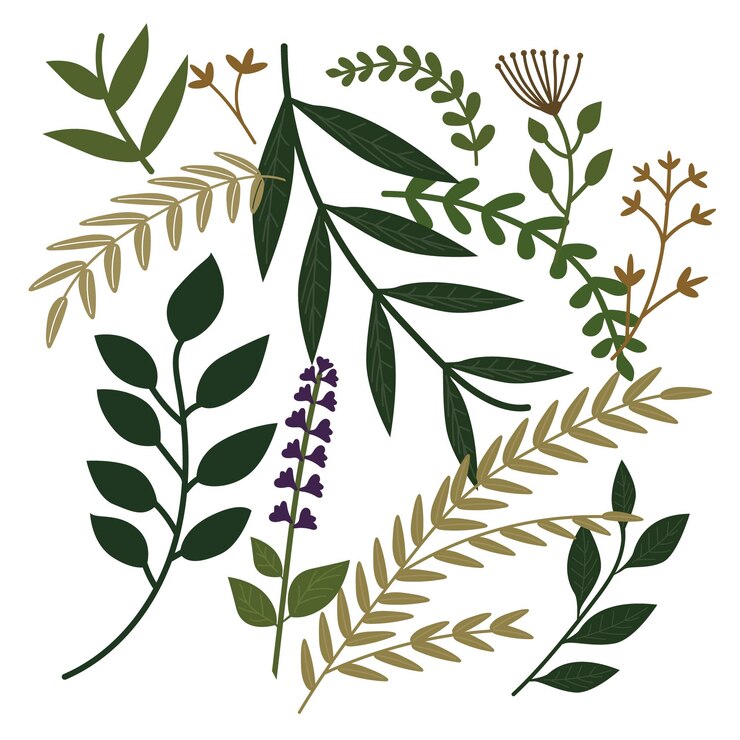 Vector ilustración vectorial de hojas y ramas botánicas en tonos naturales perfecto para invitaciones grises