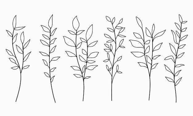 Ilustración vectorial de hojas y ramas dibujadas a mano