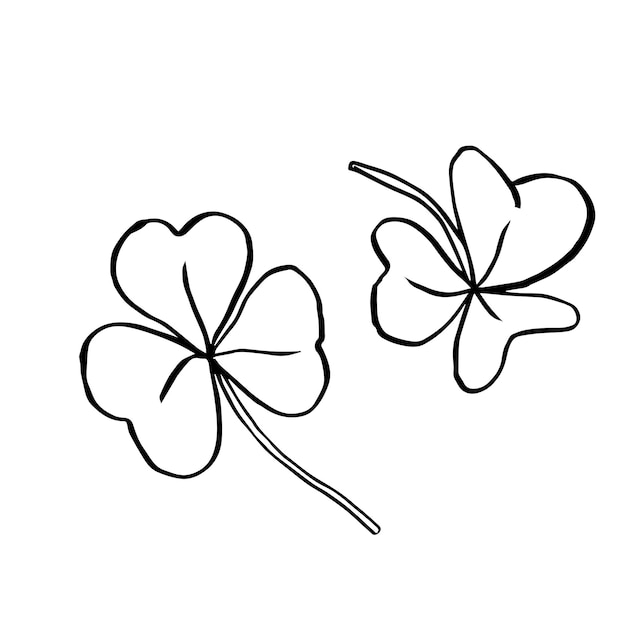 Ilustración vectorial hojas de trébol verde sobre fondo blanco Tallos de plantas Clip art para tarjeta postal invitación de boda patrón de saludo