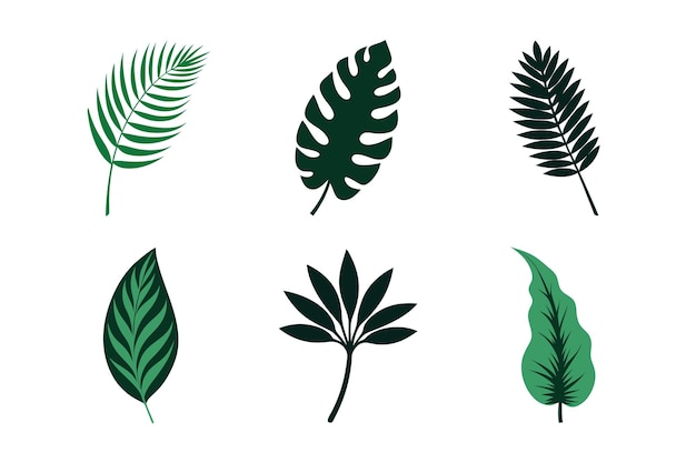 Ilustración vectorial de hojas tropicales en fondo verde