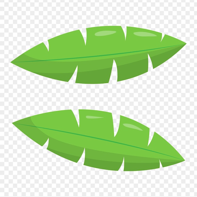 Ilustración vectorial de hojas verdes sobre un fondo transparente
