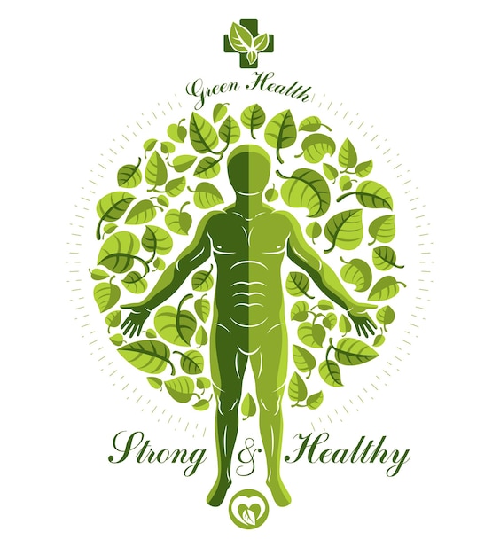 Ilustración vectorial del hombre atlético creado como continuación del árbol verde. Restauración de la salud, idea homeopática.