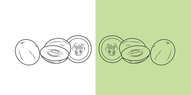 Ilustración vectorial de Honeydew o Melon con forma diferente en fondos aislados