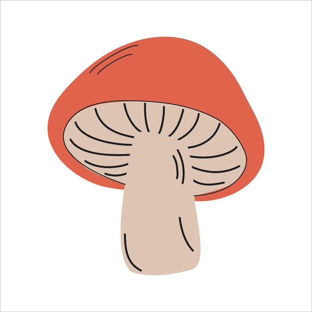 Ilustración vectorial de hongo aislado sobre un fondo blanco