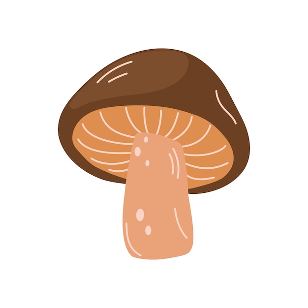 Ilustración vectorial de hongo aislado sobre un fondo blanco