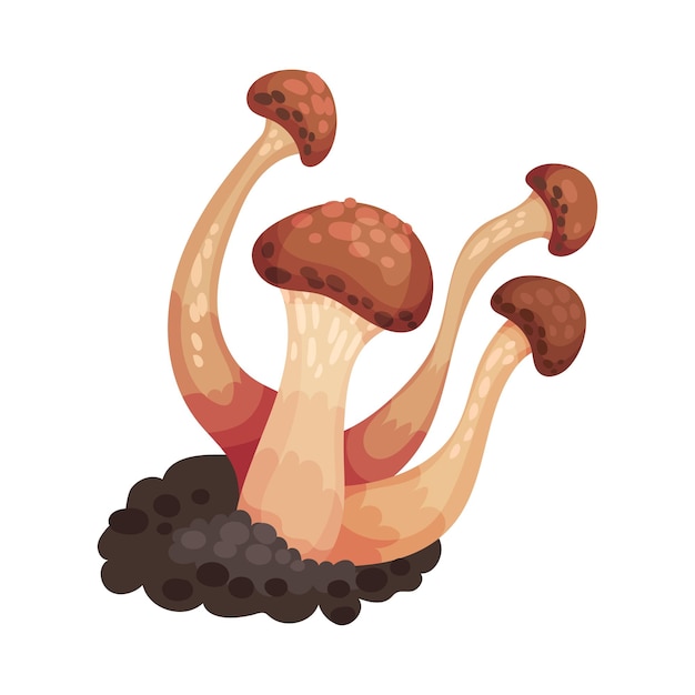 Ilustración vectorial de un hongo con tapa y tallo como elemento forestal