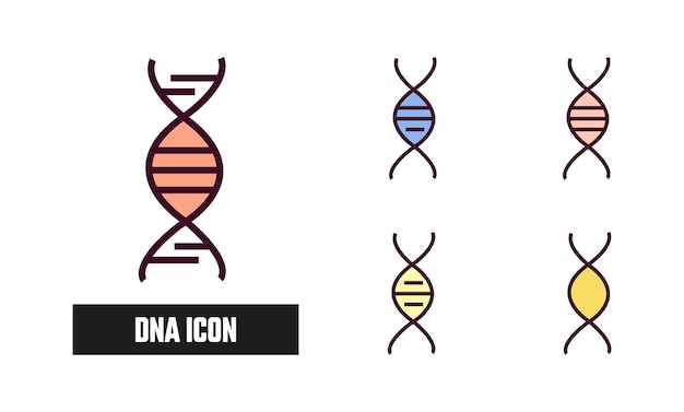 Ilustración vectorial del ícono del ADN Ícono de color lineal del ADN