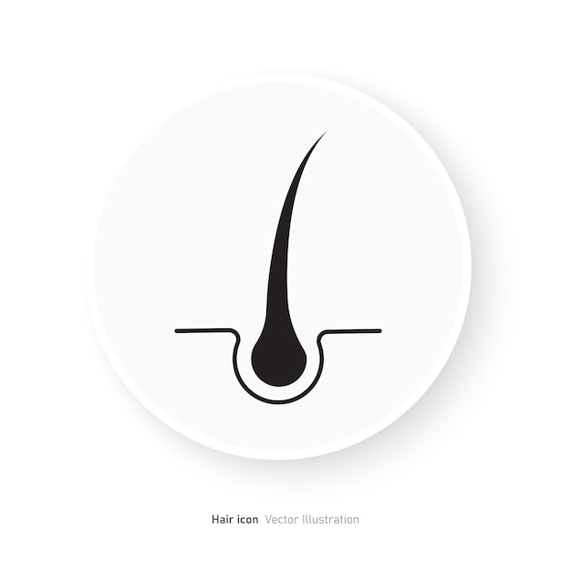Ilustración vectorial del icono del cabello