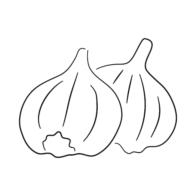 Ilustración vectorial de un icono de garabato de ajo con un boceto negro dibujado a mano