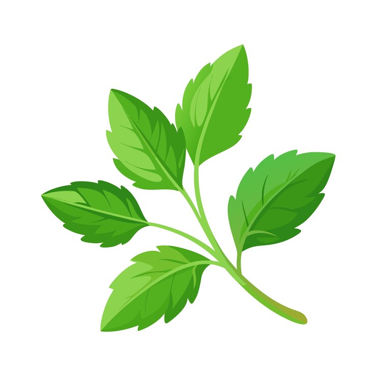 Ilustración vectorial del icono de la hierba de hoja plana hermosa
