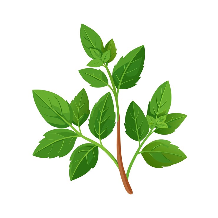 Ilustración vectorial del icono de la hierba de hoja plana hermosa