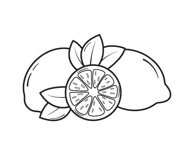 Ilustración vectorial del icono del limón Citrus en un fondo aislado Concepto del signo cítrico