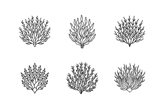 Ilustración vectorial del icono del musgo irlandés