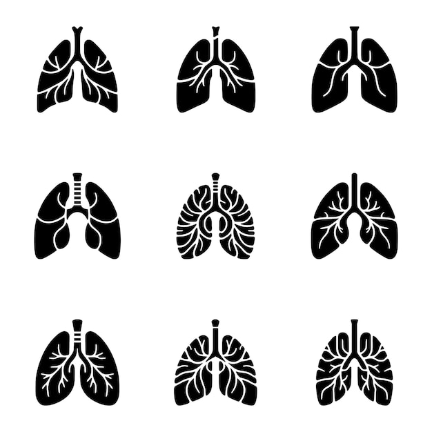 Ilustración vectorial del icono de los pulmones humanos sanos