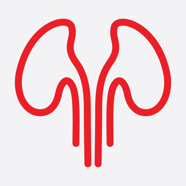 Ilustración vectorial del icono del riñón