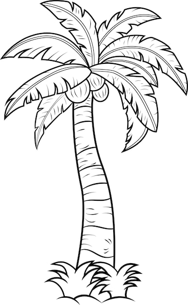 Ilustración vectorial incolora de la palmera de coco tropical