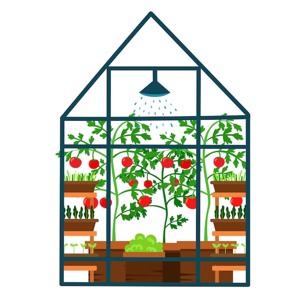 Ilustración vectorial de un invernadero con plántulas en tinas de madera