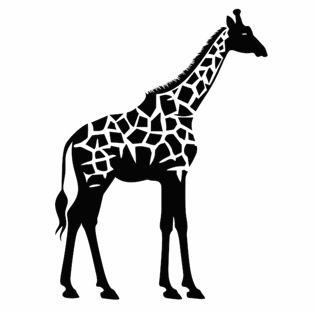 Vector ilustración vectorial de una jirafa de silueta negra fondo blanco aislado perfil de vista lateral de jirafa de icono