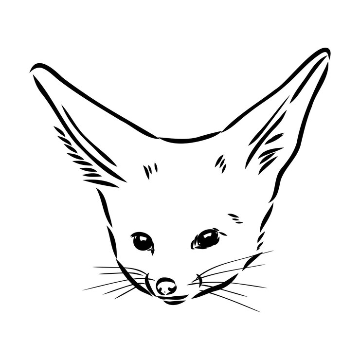 Vector ilustración vectorial de un joven zorro fennec caminando zorro fenek dibujo vectorial