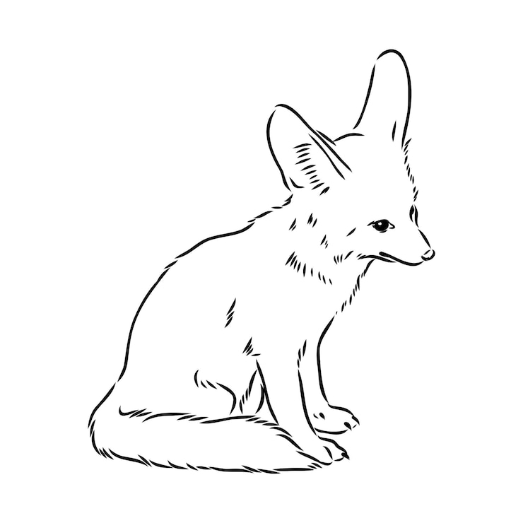 Vector ilustración vectorial de un joven zorro fennec caminando zorro fenek dibujo vectorial
