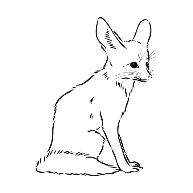 Ilustración vectorial de un joven zorro fennec caminando zorro fenek dibujo vectorial
