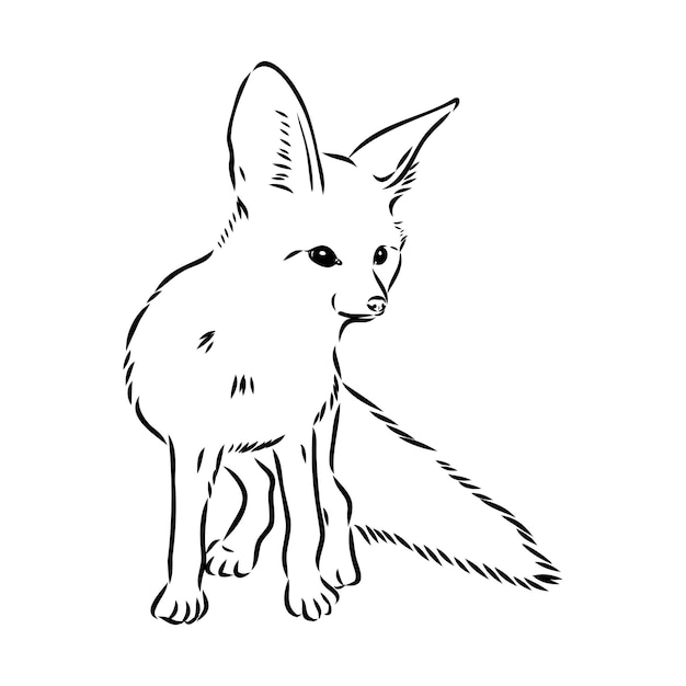 Ilustración vectorial de un joven zorro fennec caminando zorro fenek dibujo vectorial